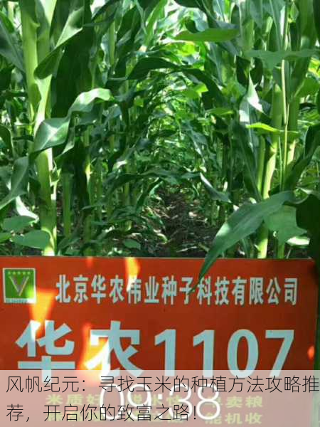 风帆纪元：寻找玉米的种植方法攻略推荐，开启你的致富之路！