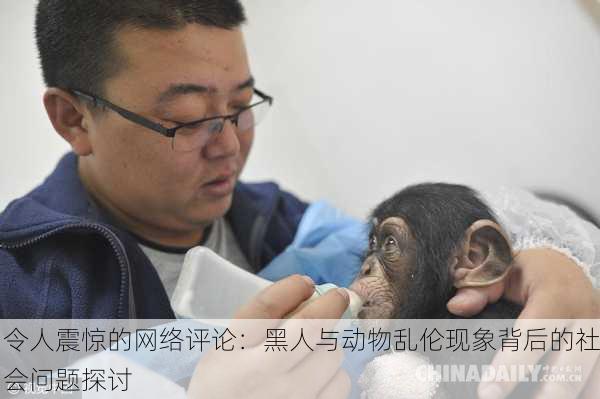 令人震惊的网络评论：黑人与动物乱伦现象背后的社会问题探讨