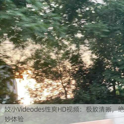 姣小Videodes性爽HD视频：极致清晰，绝妙体验