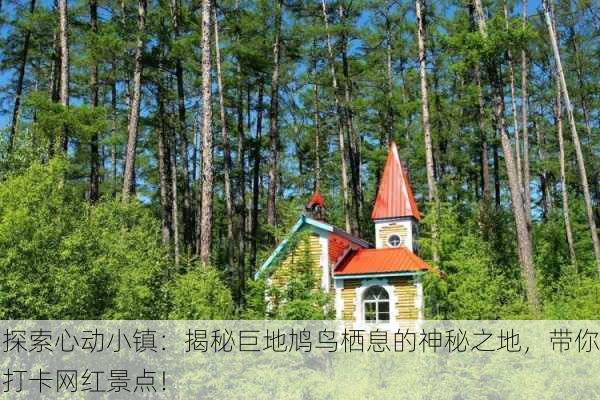 探索心动小镇：揭秘巨地鸠鸟栖息的神秘之地，带你打卡网红景点！