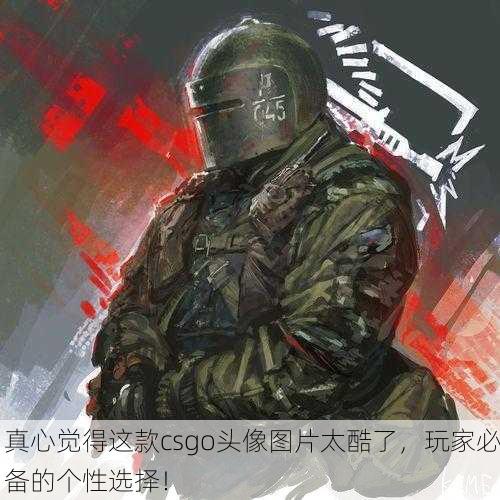 真心觉得这款csgo头像图片太酷了，玩家必备的个性选择！