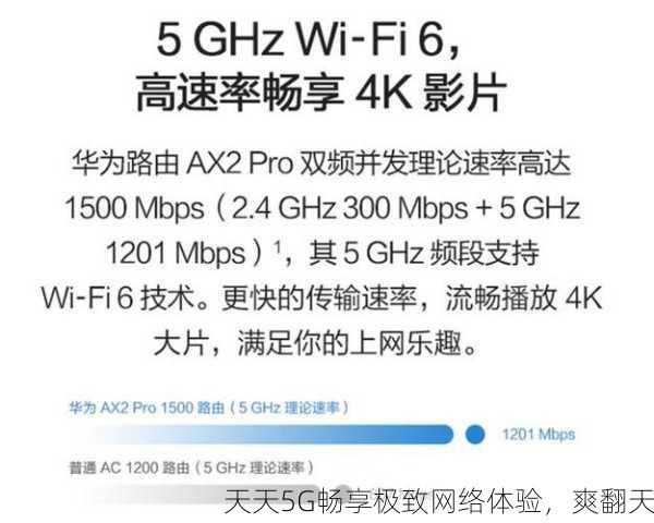 天天5G畅享极致网络体验，爽翻天