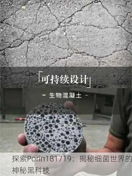 探索Porin181719：揭秘细菌世界的神秘黑科技