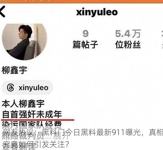 网友热议：黑料门今日黑料最新911曝光，真相究竟如何引发关注？