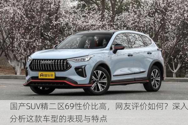 国产SUV精二区69性价比高，网友评价如何？深入分析这款车型的表现与特点
