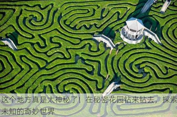 这个地方真是太神秘了！在秘密花园钻来钻去，探索未知的奇妙世界
