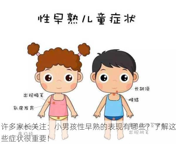 许多家长关注：小男孩性早熟的表现有哪些？了解这些症状很重要！