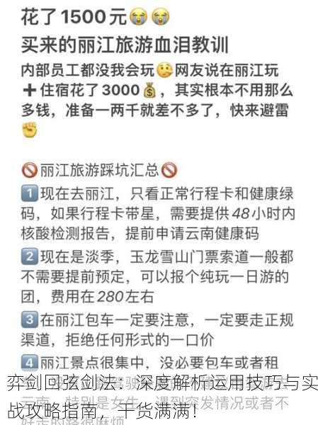 弈剑回弦剑法：深度解析运用技巧与实战攻略指南，干货满满！