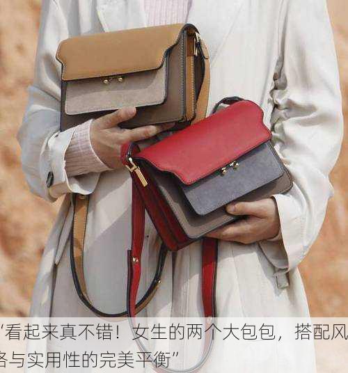 “看起来真不错！女生的两个大包包，搭配风格与实用性的完美平衡”