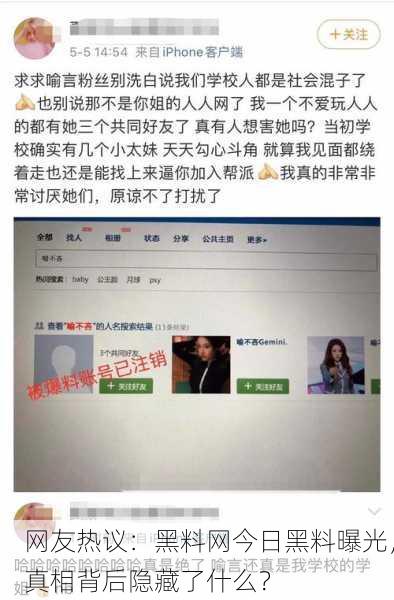 网友热议：黑料网今日黑料曝光，真相背后隐藏了什么？
