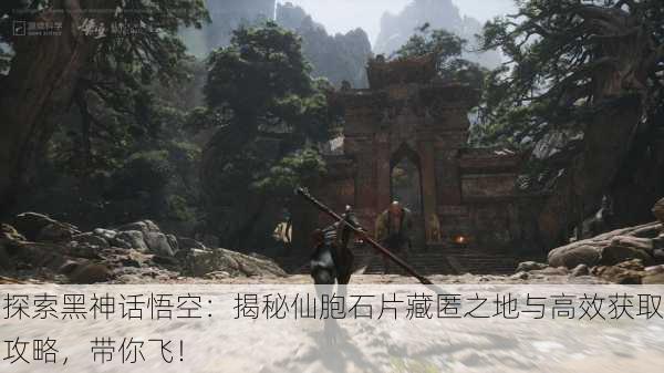 探索黑神话悟空：揭秘仙胞石片藏匿之地与高效获取攻略，带你飞！