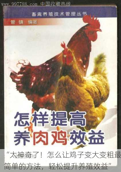 “太神奇了！怎么让鸡子变大变粗最简单的方法，轻松提升养殖效益”