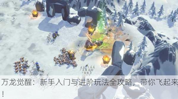 万龙觉醒：新手入门与进阶玩法全攻略，带你飞起来！
