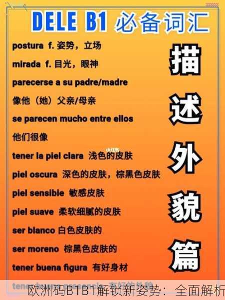 欧洲码B1B1解锁新姿势：全面解析
