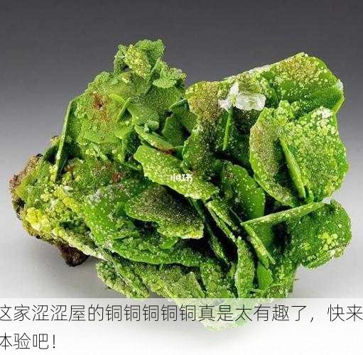这家涩涩屋的铜铜铜铜铜真是太有趣了，快来体验吧！