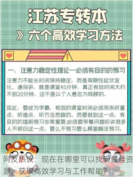 网友热议：现在在哪里可以找到最佳资源，获取高效学习与工作帮助？