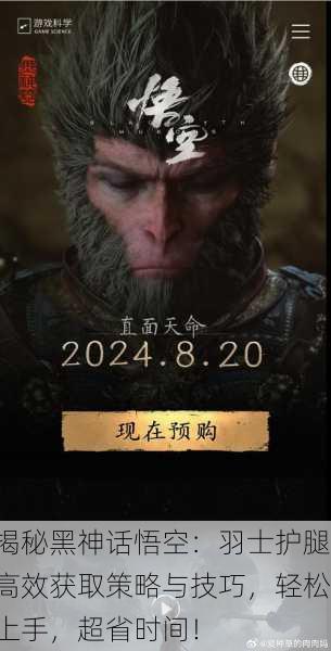 揭秘黑神话悟空：羽士护腿高效获取策略与技巧，轻松上手，超省时间！