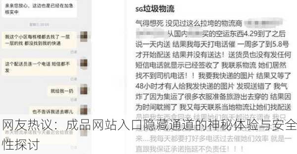 网友热议：成品网站入口隐藏通道的神秘体验与安全性探讨