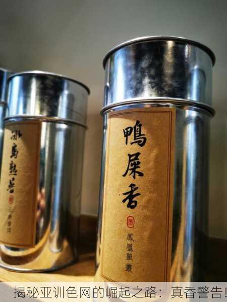 揭秘亚训色网的崛起之路：真香警告！