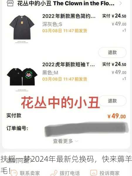 扶摇一梦2024年最新兑换码，快来薅羊毛！
