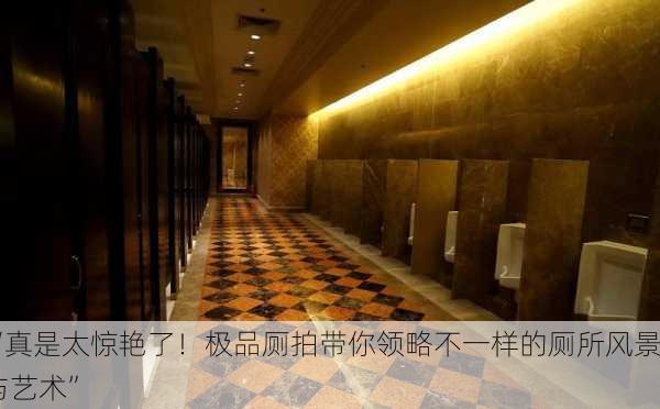 “真是太惊艳了！极品厕拍带你领略不一样的厕所风景与艺术”