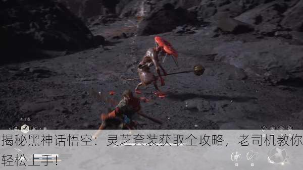 揭秘黑神话悟空：灵芝套装获取全攻略，老司机教你轻松上手！