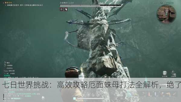 七日世界挑战：高效攻略厄面蛛母打法全解析，绝了！