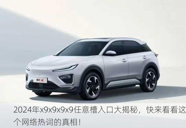 2024年x9x9x9x9任意槽入口大揭秘，快来看看这个网络热词的真相！