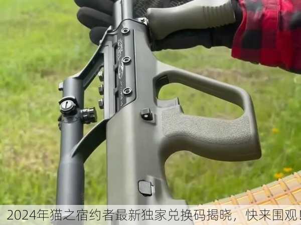 2024年猫之宿约者最新独家兑换码揭晓，快来围观！