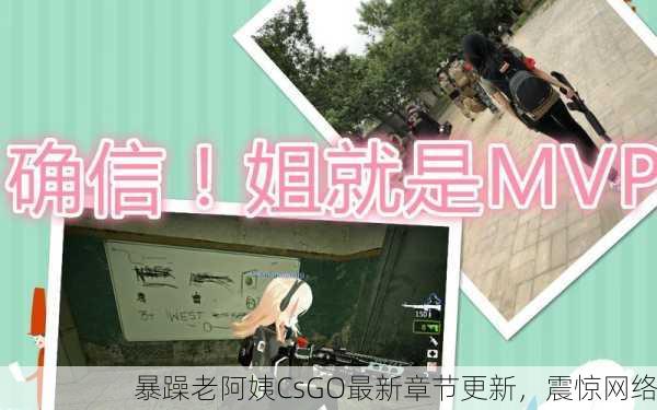 暴躁老阿姨CsGO最新章节更新，震惊网络