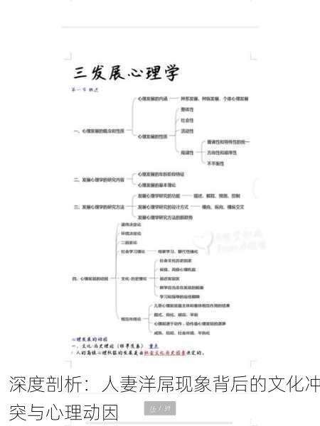 深度剖析：人妻洋屌现象背后的文化冲突与心理动因