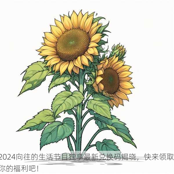 2024向往的生活节目独享最新兑换码揭晓，快来领取你的福利吧！