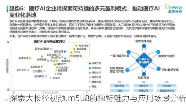 探索大长径视频.m5u8的独特魅力与应用场景分析