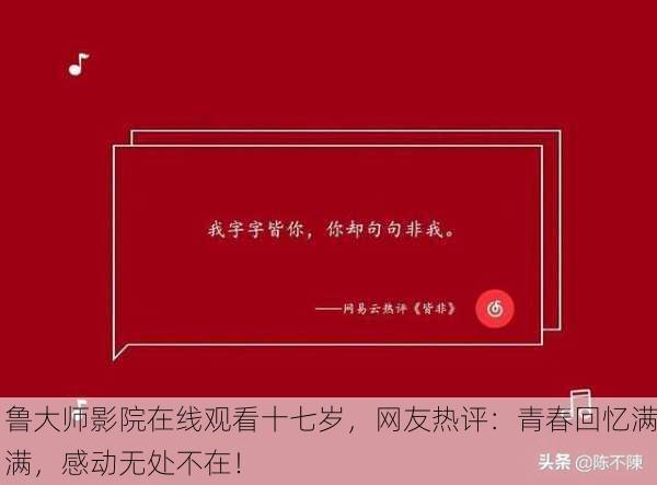 鲁大师影院在线观看十七岁，网友热评：青春回忆满满，感动无处不在！