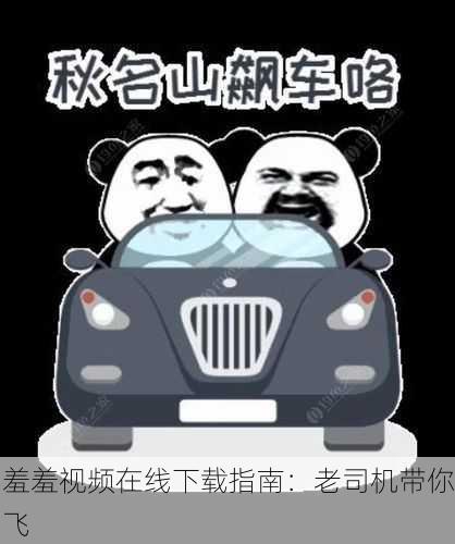 羞羞视频在线下载指南：老司机带你飞
