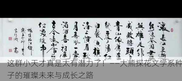 这群小天才真是太有潜力了！——大熊探花文学系种子的璀璨未来与成长之路