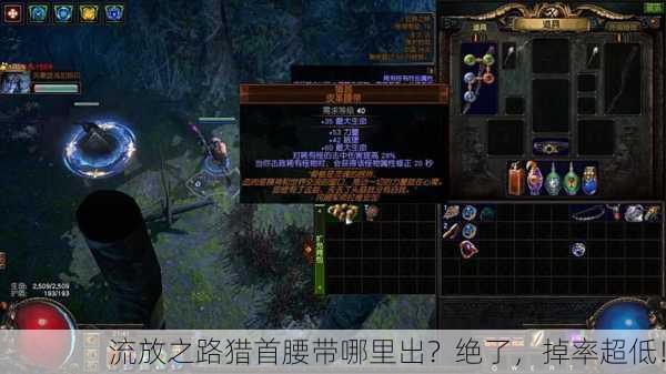 流放之路猎首腰带哪里出？绝了，掉率超低！