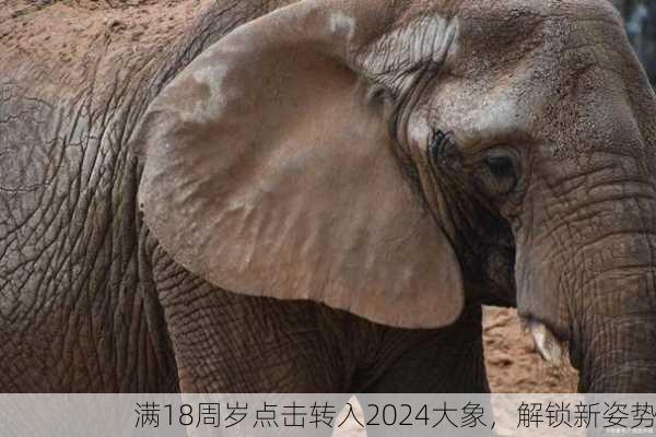 满18周岁点击转入2024大象，解锁新姿势