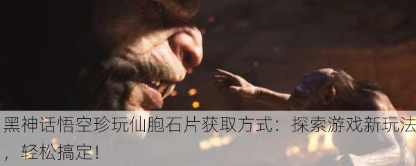 黑神话悟空珍玩仙胞石片获取方式：探索游戏新玩法，轻松搞定！
