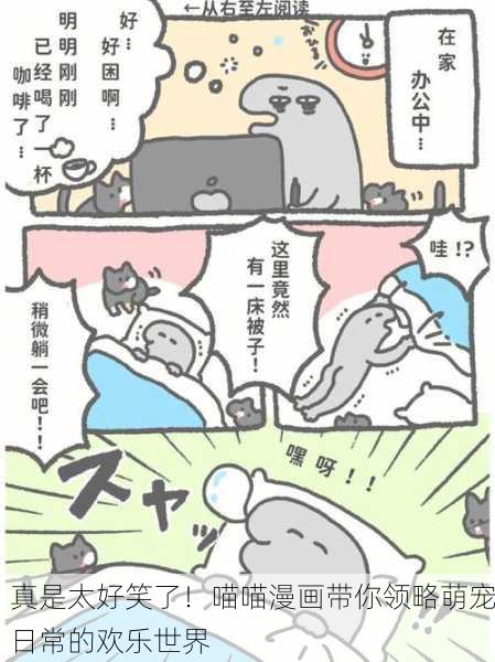 真是太好笑了！喵喵漫画带你领略萌宠日常的欢乐世界