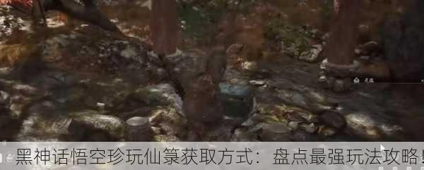 黑神话悟空珍玩仙箓获取方式：盘点最强玩法攻略！