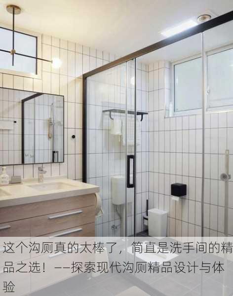 这个沟厕真的太棒了，简直是洗手间的精品之选！——探索现代沟厕精品设计与体验