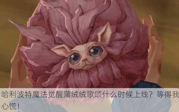 哈利波特魔法觉醒蒲绒绒歌颂什么时候上线？等得我心慌！