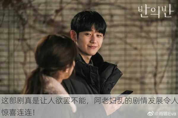 这部剧真是让人欲罢不能，阿老妇乱的剧情发展令人惊喜连连！