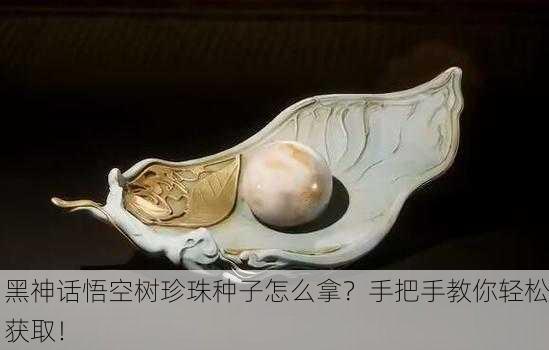 黑神话悟空树珍珠种子怎么拿？手把手教你轻松获取！