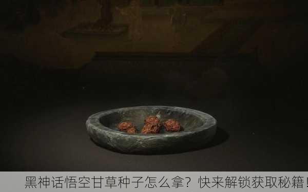 黑神话悟空甘草种子怎么拿？快来解锁获取秘籍！