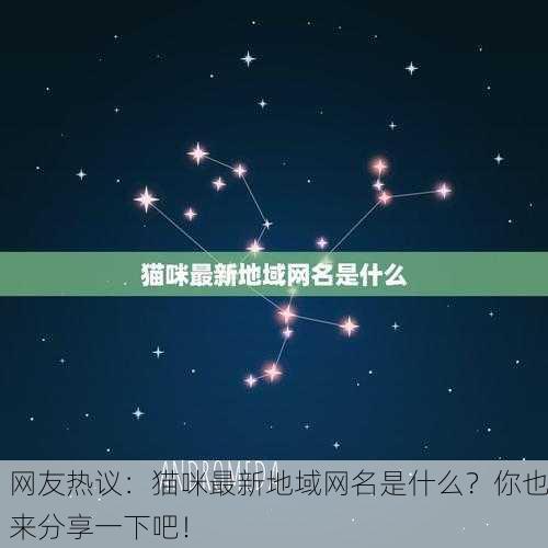 网友热议：猫咪最新地域网名是什么？你也来分享一下吧！
