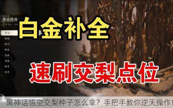 黑神话悟空交梨种子怎么拿？手把手教你逆天操作！