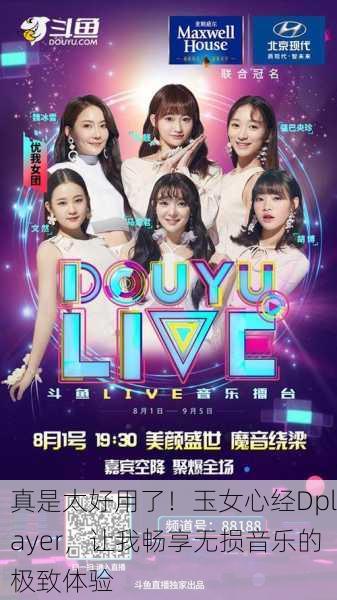 真是太好用了！玉女心经Dplayer，让我畅享无损音乐的极致体验