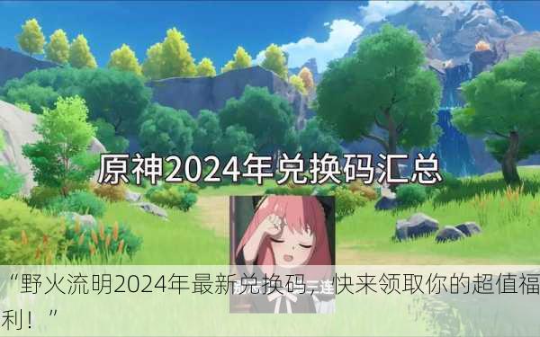 “野火流明2024年最新兑换码，快来领取你的超值福利！”